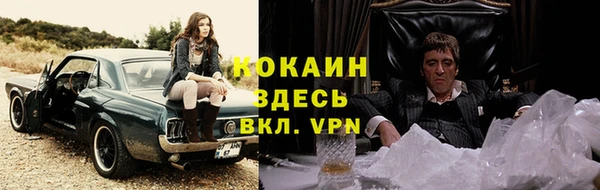 индика Алексин