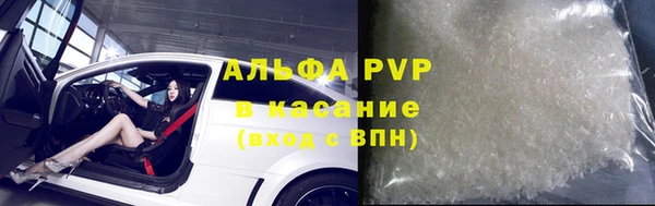 индика Алексин
