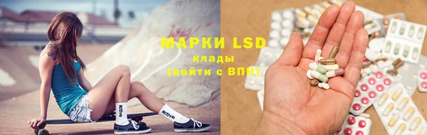 индика Алексин