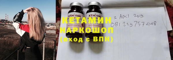 индика Алексин