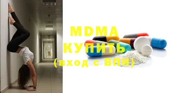 индика Алексин