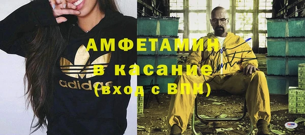 индика Алексин