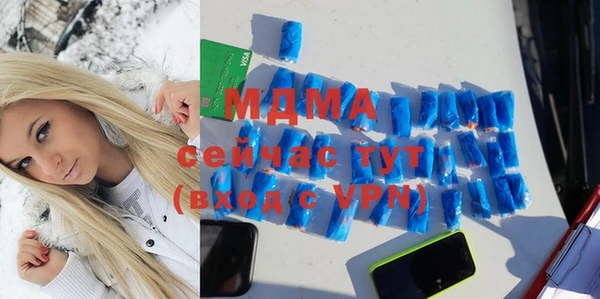 индика Алексин