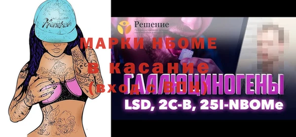 индика Алексин