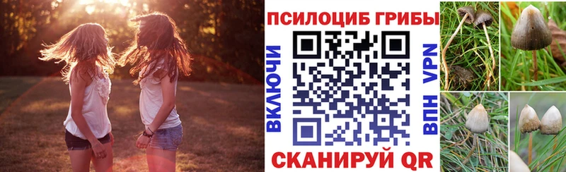 Псилоцибиновые грибы прущие грибы  Малоархангельск 